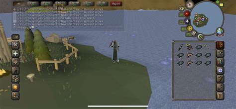 aerial fishing osrs|The issue with aerial fishing. : r/2007scape .